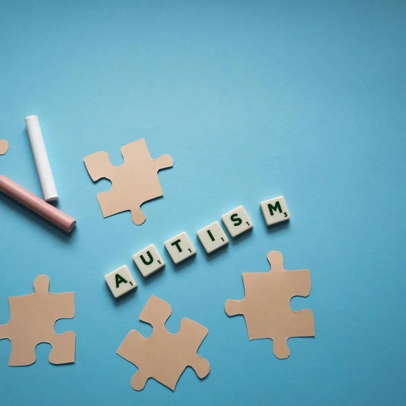 JOSHA’s Critical Review of “Within the Walls of the School: Reflections on the Inclusion of Individuals with Autism in Educational Settings” by Rosiana Silva da Silva et al.