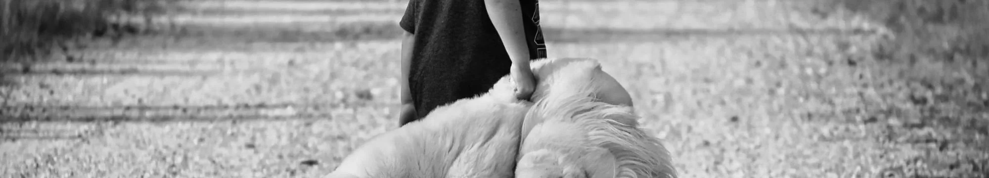 Material de Abuso Sexual Infantil Generado A Partir De La Inteligencia Artificial: Una Revisión de Literatura – Child Sexual Abuse Material Generated from Artificial Intelligence: A Literature Review