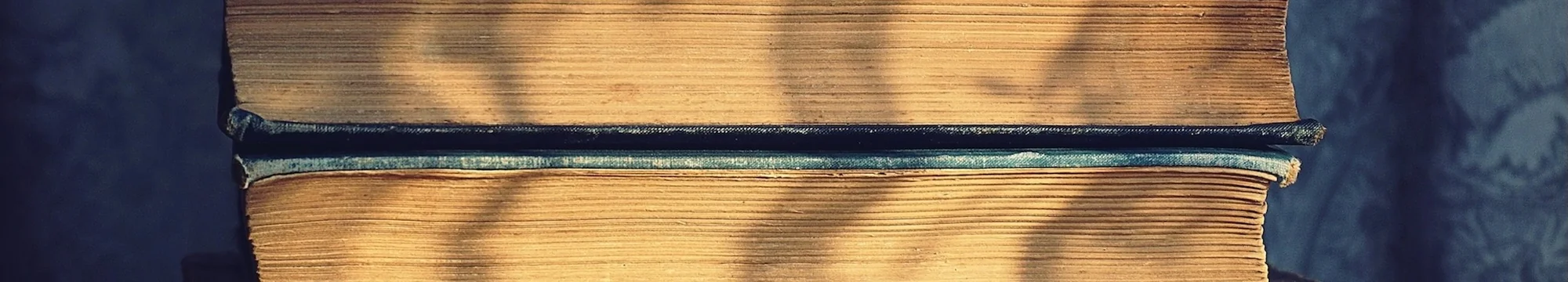 আমার জীবনে রবীন্দ্রনাথ Imprint of Tagore in My Life