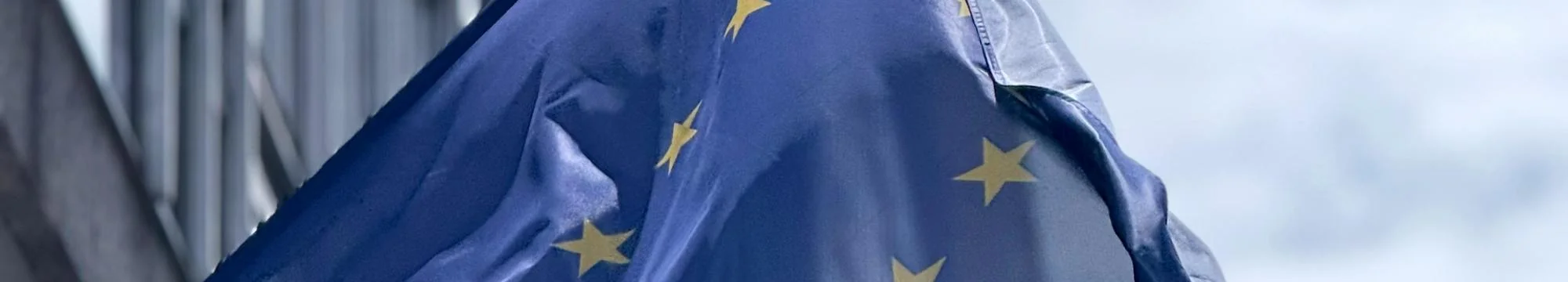 Strategic Autonomy And Economic Sovereignty in the European Union: Legal Instruments, Trade Governance And Market Implications