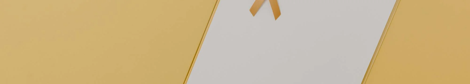 Spotlight on Scientific Discovery & Engineering: Cancer Complexity and Cellular Innovation